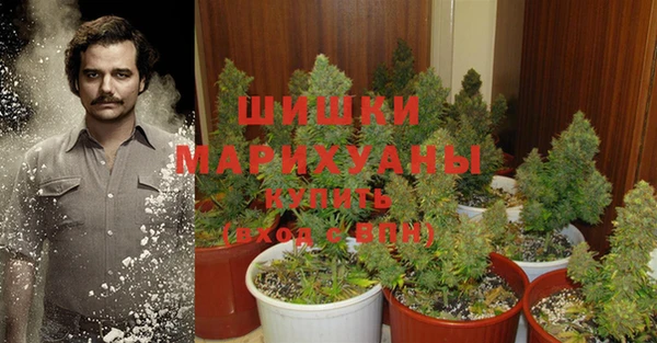 мяу мяу мука Горняк