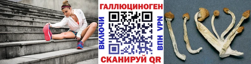 где можно купить наркотик  Озёры  Галлюциногенные грибы ЛСД 